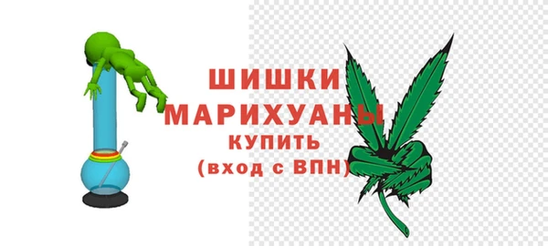 мдпв Вяземский